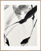 Echoes, Framed printing bamin canvas, H100xW80xD3.8cm, Black/white