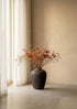 Borea, styled