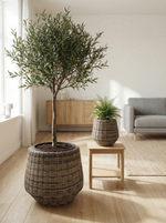Styled image